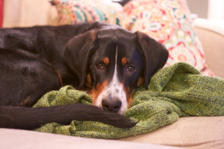 I have 3/4 of the couch but I prefer mom's spot