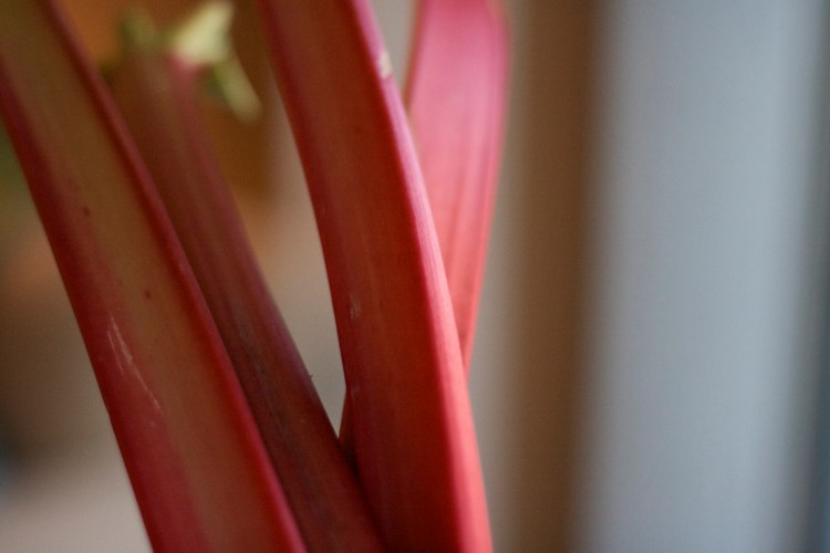 rhubarb