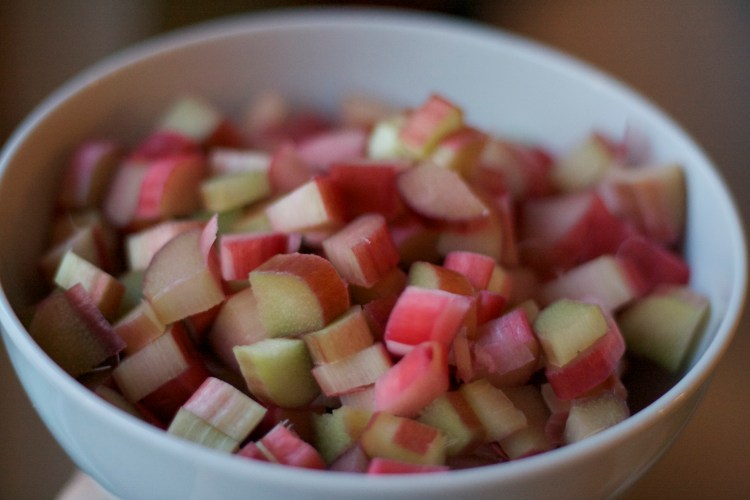rhubarb 