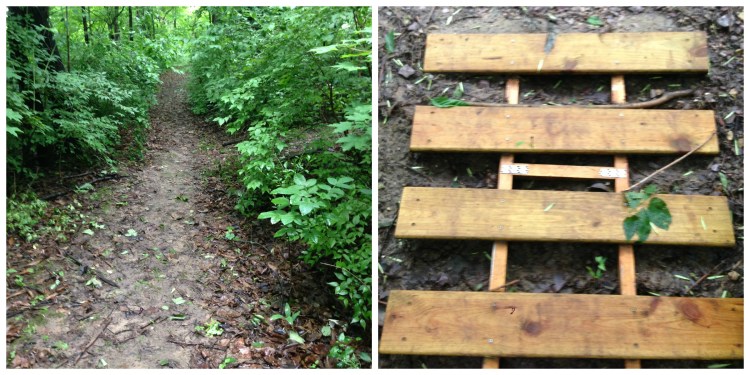 running trail ladder