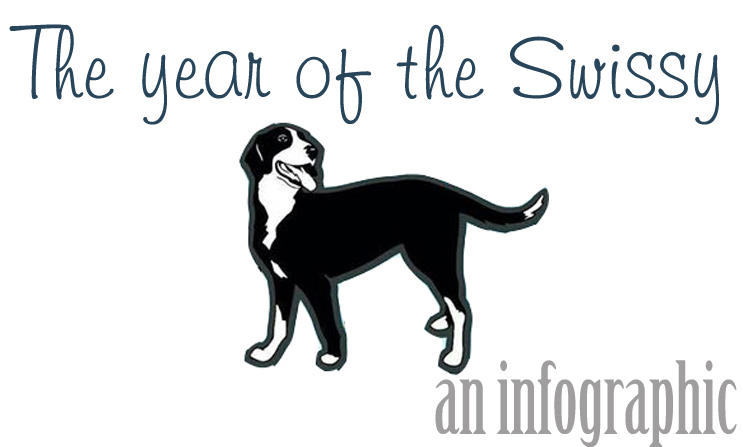 greater swiss mountain dog infographic simply social blog