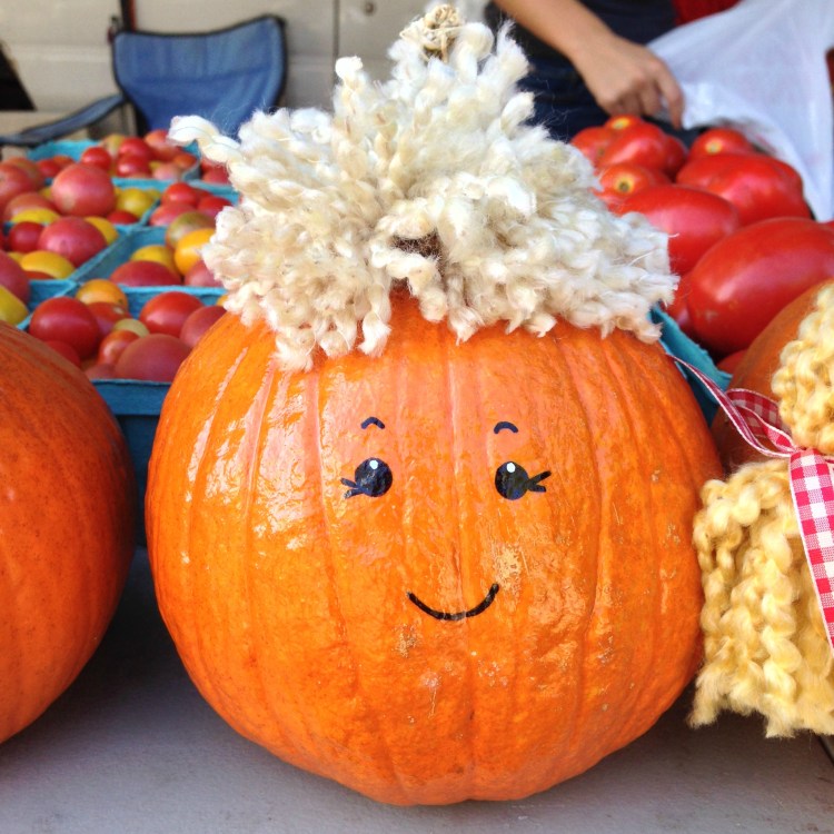 pumpkin farmers market springfield illinois simply social blog
