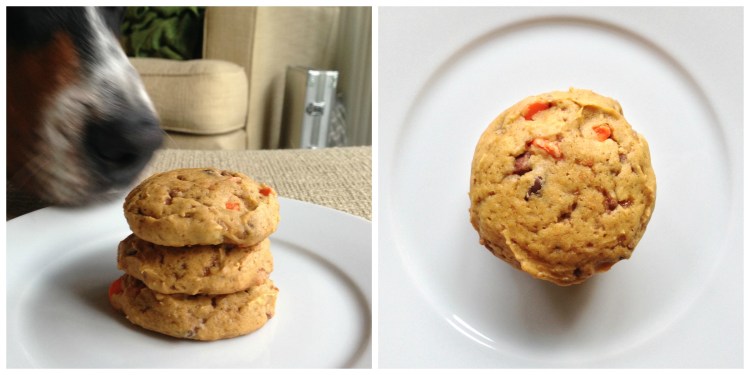 pumpkin toffee chocolate chip cookies simply social blog 