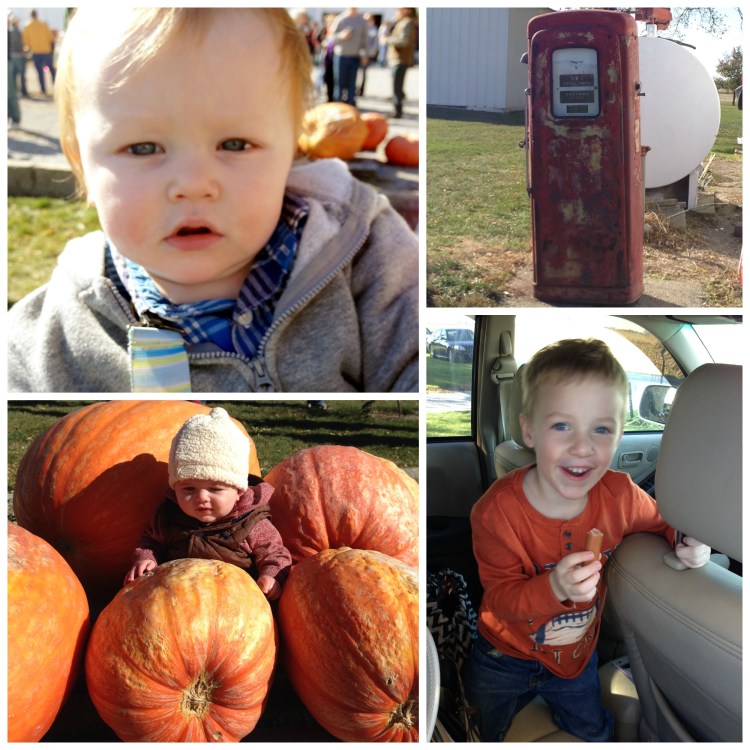 50th anniversary bosch family wiener roast simply social blog 