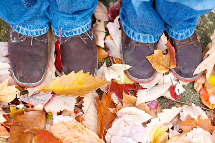 photography, children, nephews, springfield illinois, simply social blog