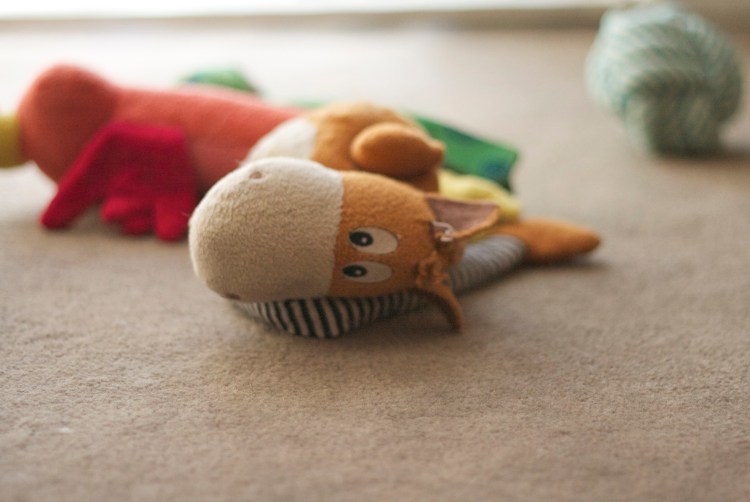 a dog was here photography series, dog still life, puppy toys, pet photography series