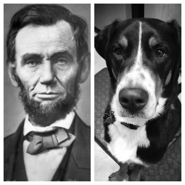 abraham lincoln swissy lookalike, presidents day, simply social blog, abe 