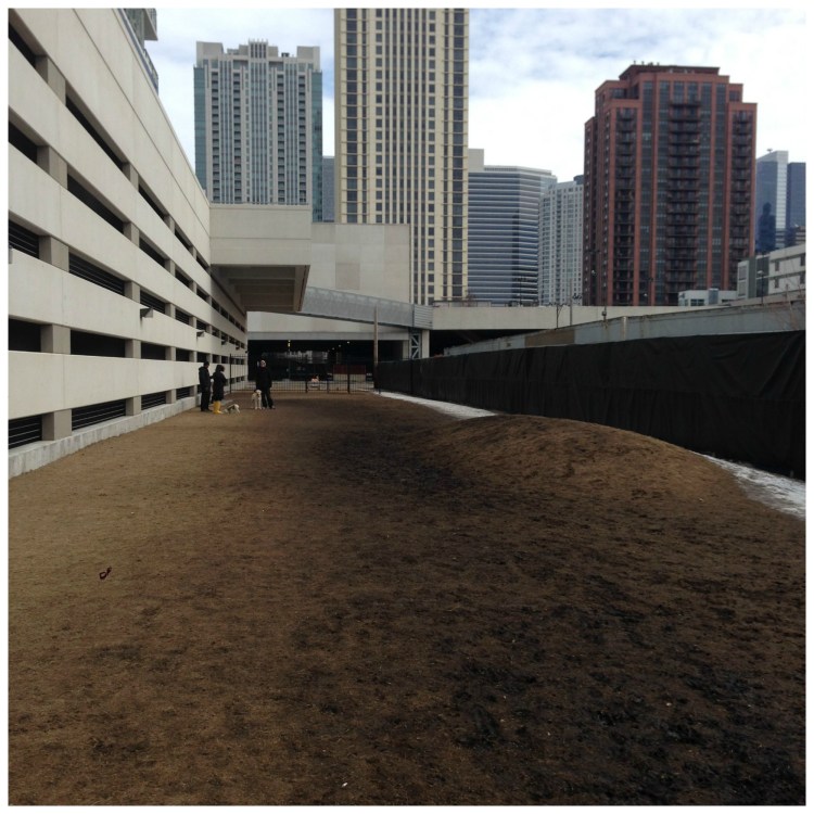 K2 dog park, chicago, west loop, 