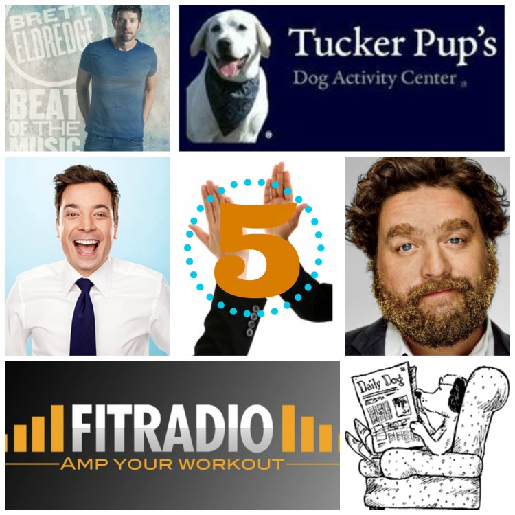 five people to high-five, tucker pups, zach galifianakis, jimmy fallon, brett eldredge, fitradio, barkpost