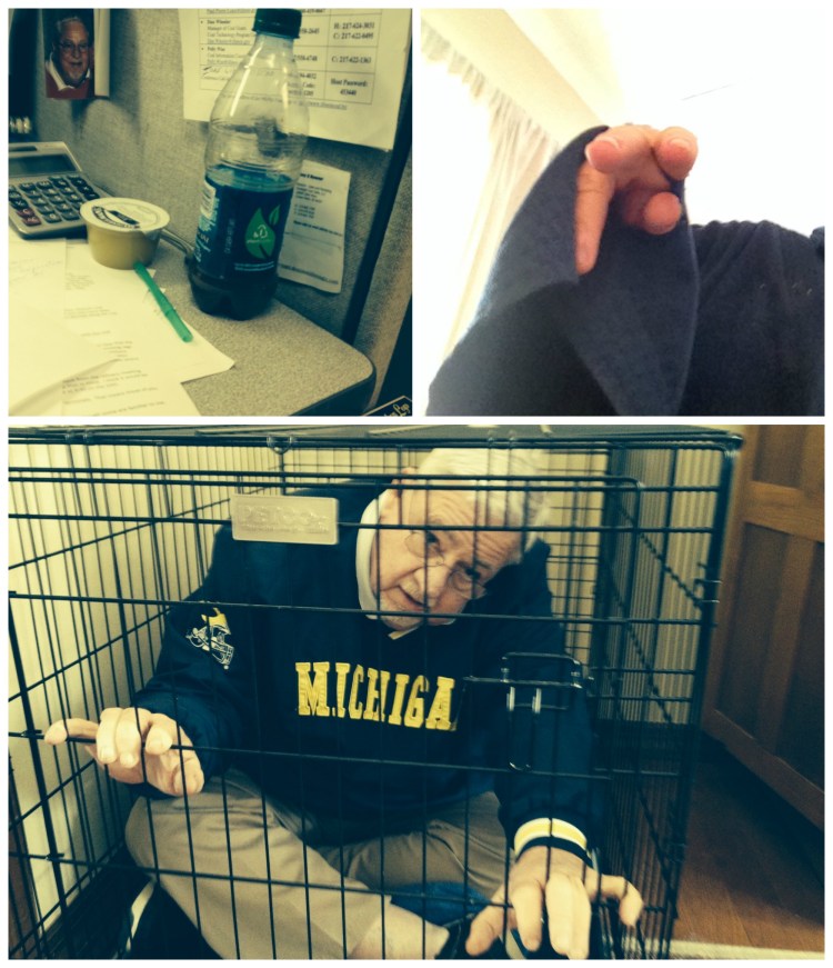 a dog was here photography series, murf 