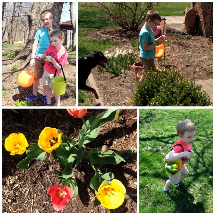 easter, egg hunt, boys, swiss mountain dog, easter egg hunt, tulips