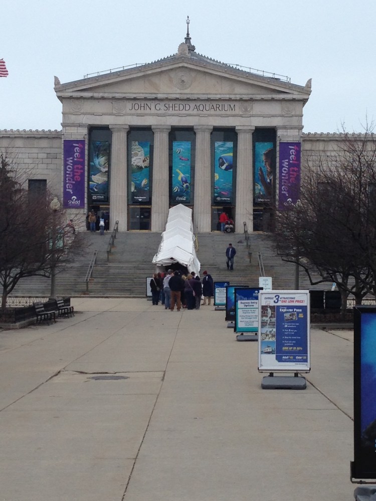farewell chicago, running in chicago, lake michigan, shedd aquarium