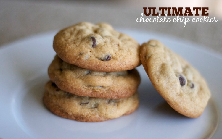 national chocolate chip cookie day, chocolate chip cookie recipe, soft and chewy cookies, recipes, baking, cookies, vanilla pudding cookies