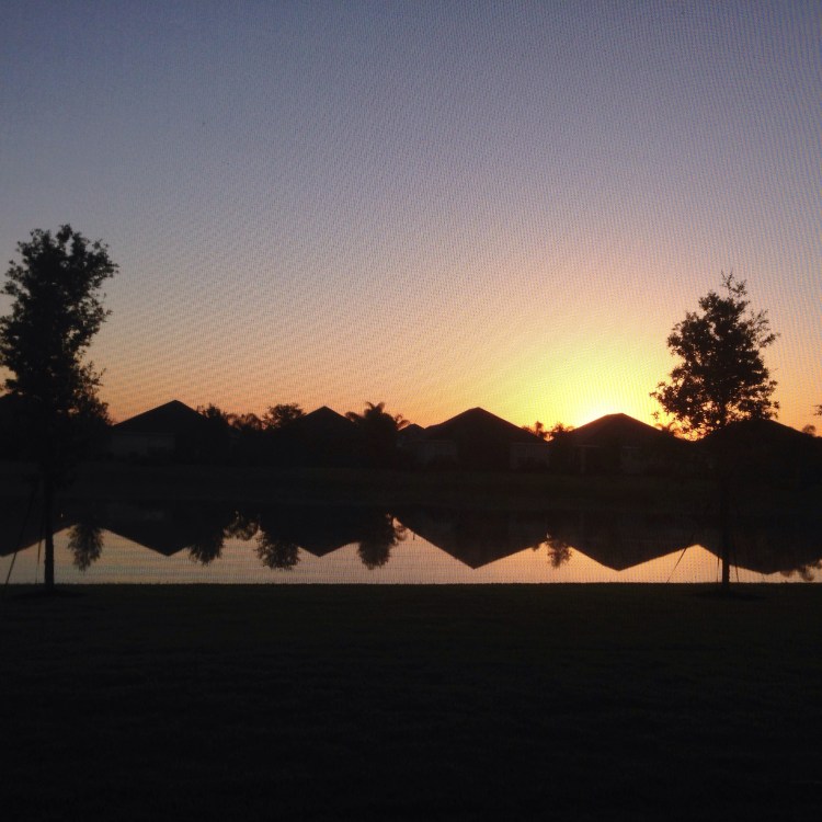 sunrise, lakewood ranch, florida, backyard,