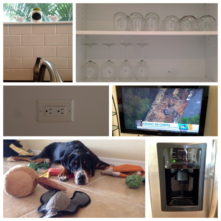 new house features, kitchen, subway tile, swiss mountain dog, 