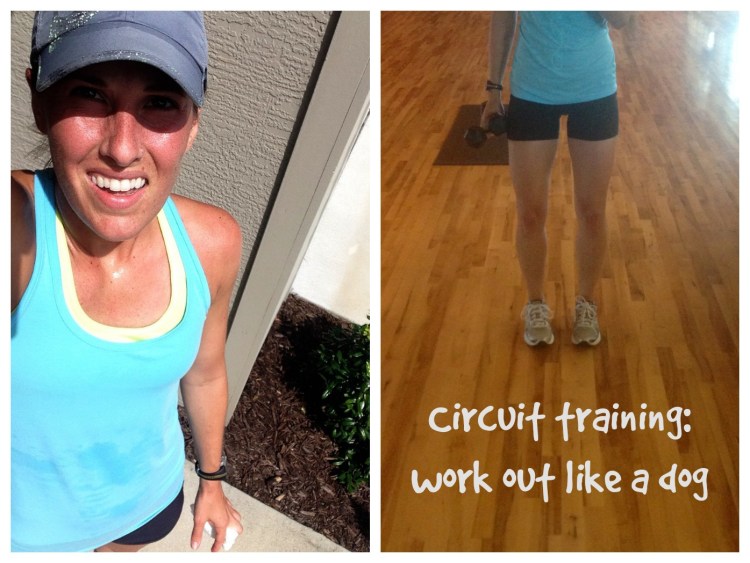 get fit like fido infographic, dogvacay.com, working out with your pet, workouts, fitness, exercises with your dog, circuit training, fire hydrants, squats, 