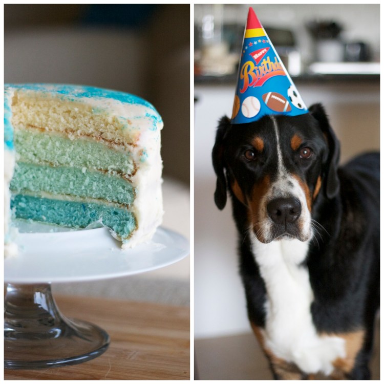 birthday layer cake, ombre layer cake, white birthday cake, buttercream icing, blue ombre layer cake, birthday, holiday, baking, 