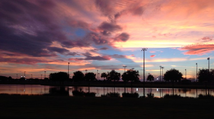 sunset, florida, sky, palm trees