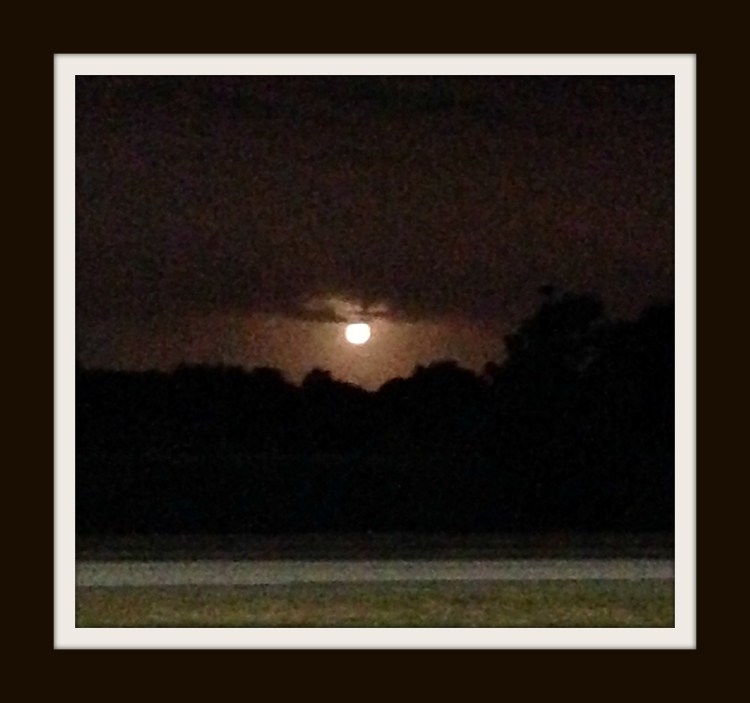 harvest moon, florida, sunrise, November