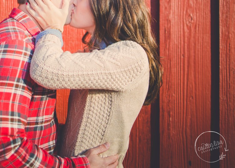 engagement photos, winter engagement photos, caitlin lisa photography, central illinois wedding, wedding, fall engagement photo shoot, Christmas engagement photos