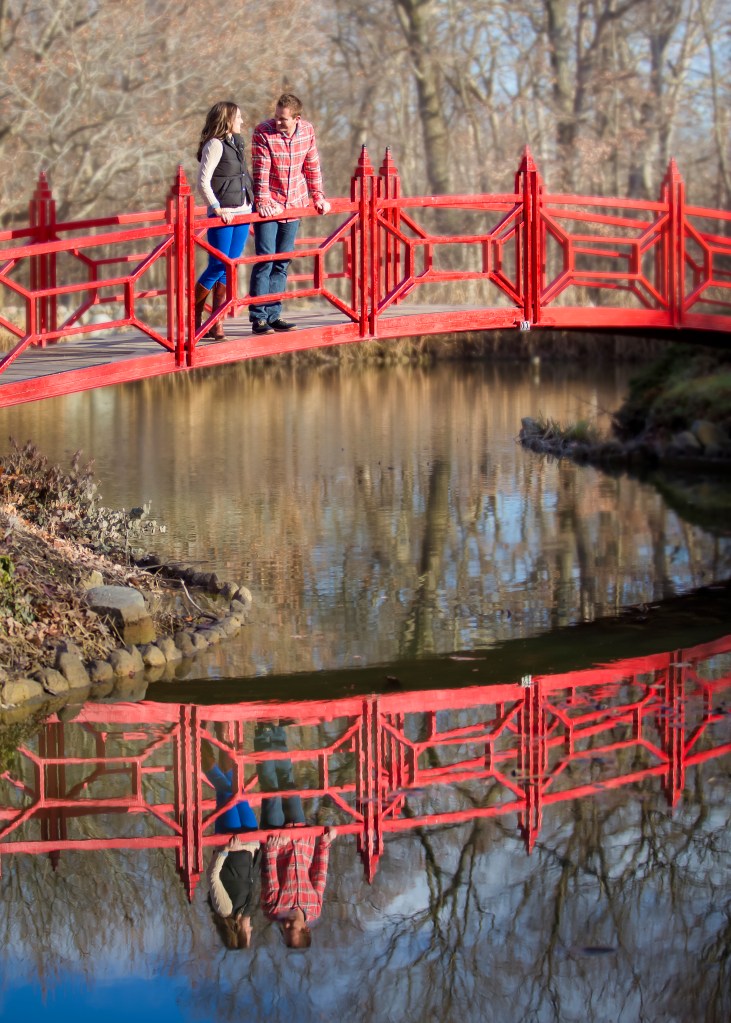 engagement photos, winter engagement photos, caitlin lisa photography, central illinois wedding, wedding, fall engagement photo shoot, Christmas engagement photos