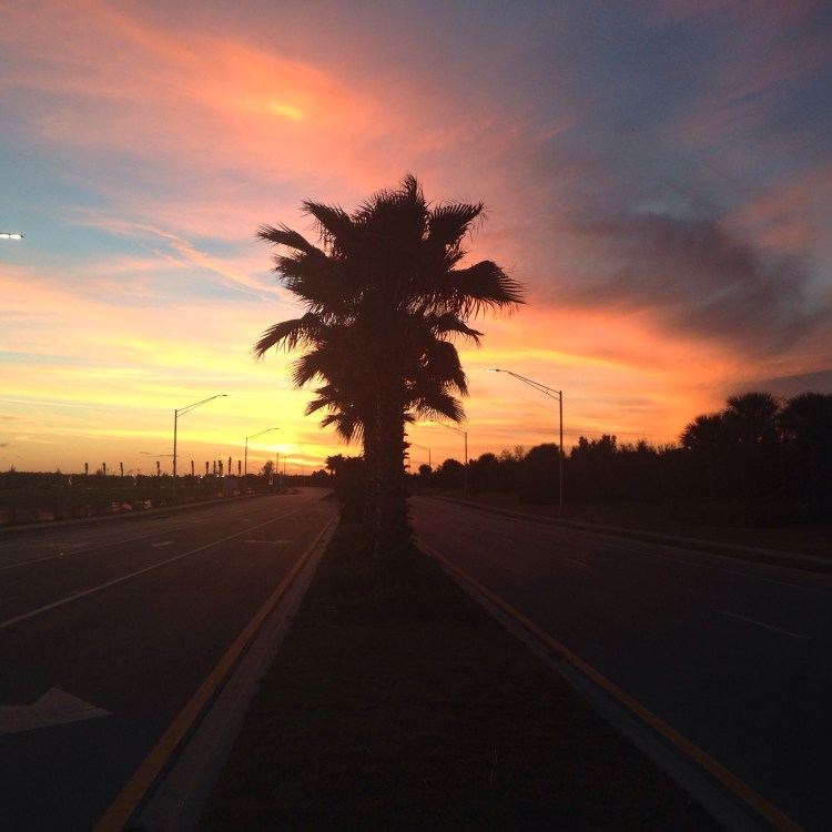 florida sunset, sarasota, winter in florida, sunset,