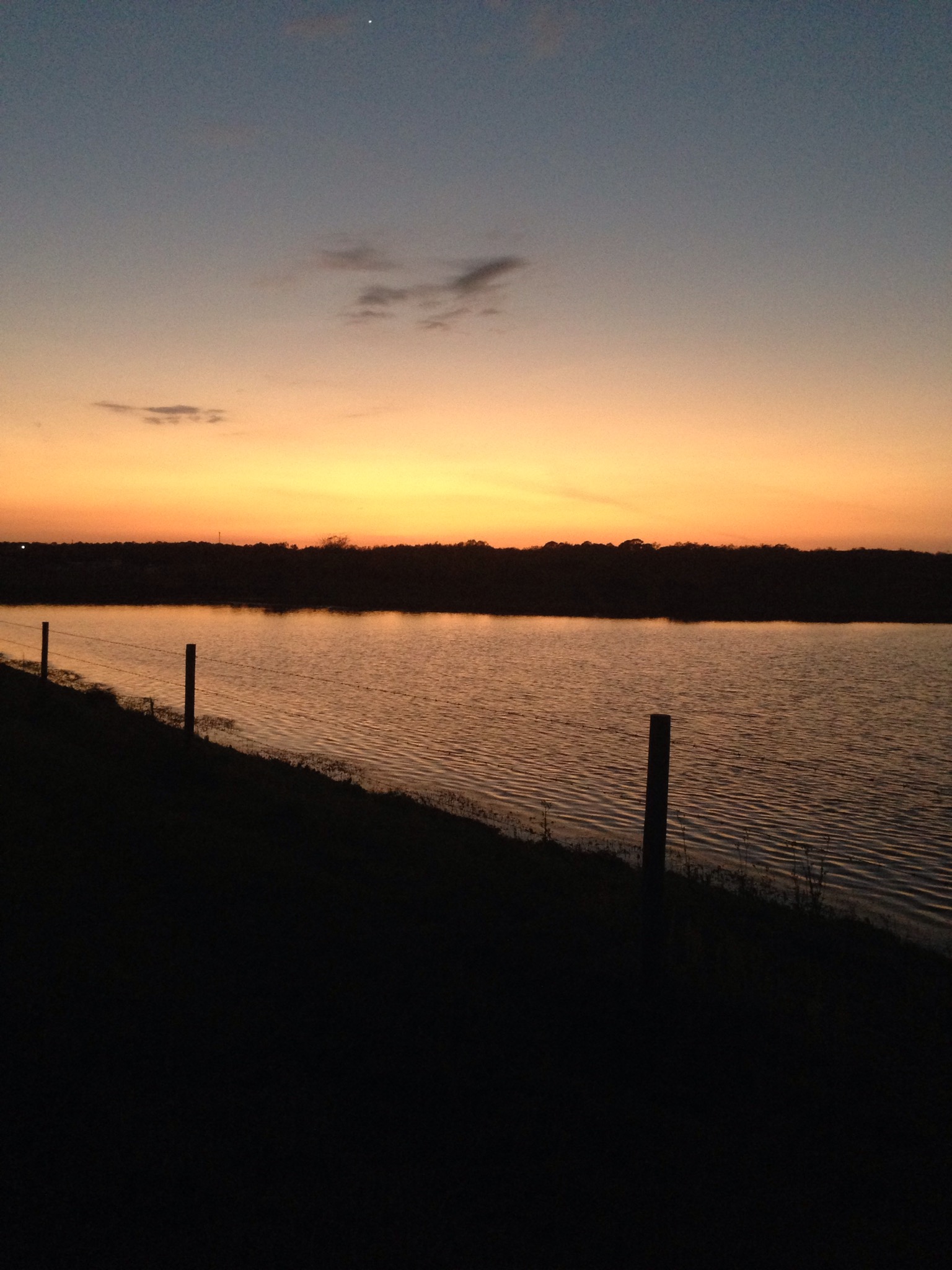 florida sunset, sarasota, florida, winter, sunset, palm trees