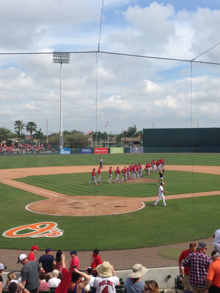 cardinals, spring training, ed smith stadium, orioles, baseball, st. louis cardinals, sarasota