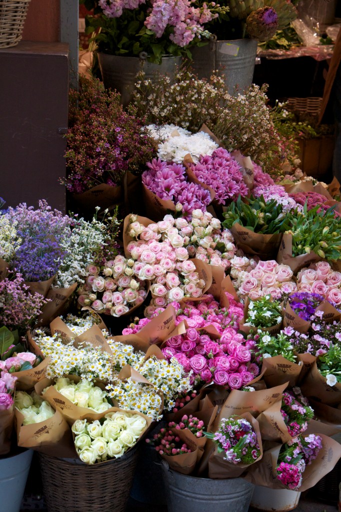 Bologna, italy, honeymoon in Italy, San Luca, basilica, bolognese, open markets, porticoes, travel, summer in italy, bolognese food