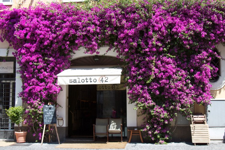 roma, rome, italian honeymoon, honeymoon, wedding, italy, colosseum,  