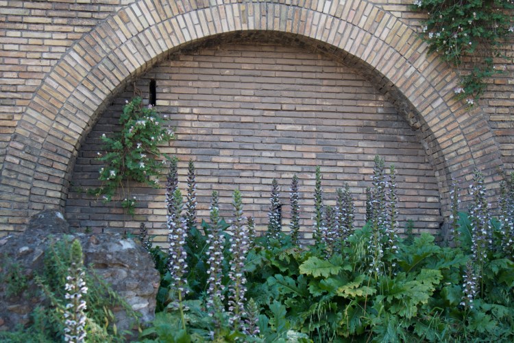 Rome, Roma, Coliseum, pantheon, honeymoon in italy, Italy, michelangelo, Roman Forum, visiting rome, rationalist movement, bernini