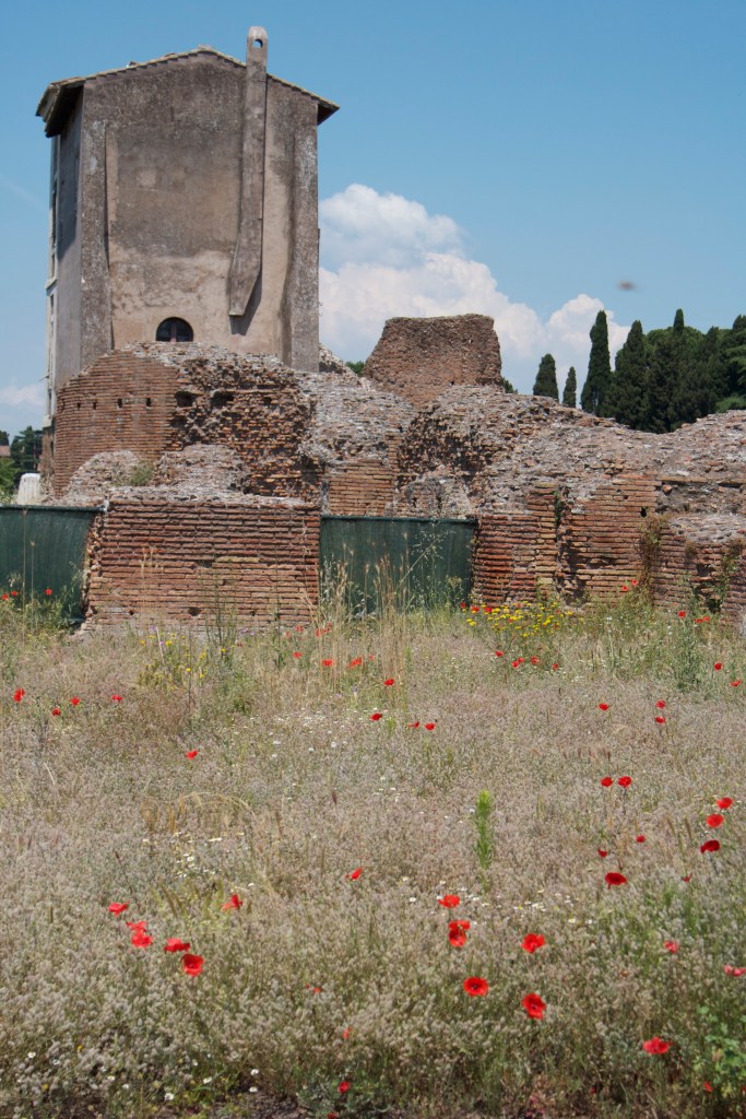 roma, rome, honeymoon in italy, colosseum, gladiator, ruins, roman forum, vacation, honeymoon,  
