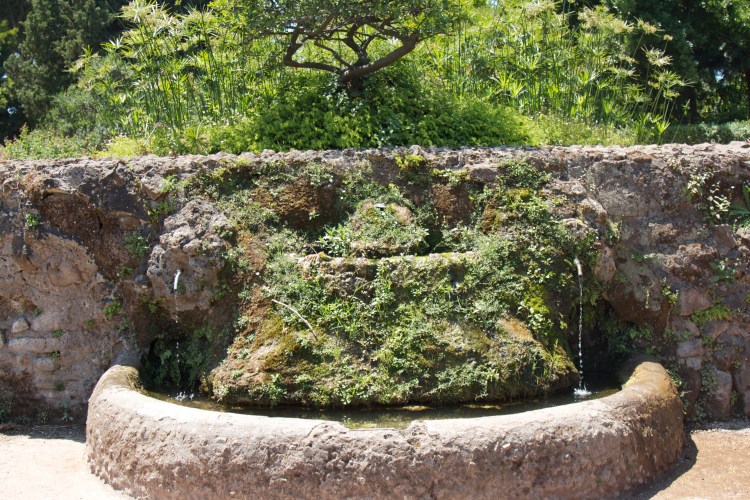 roma, rome, honeymoon in italy, colosseum, gladiator, ruins, roman forum, vacation, honeymoon,  