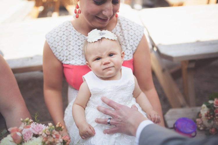 bridal party, wedding photos, springfield illinois wedding, wright photographs, bridesmaids, groomsmen, jcrew, flower girl, ring bearer