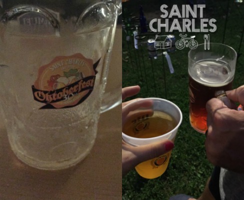 5 ways to fall in love with fall, fall, midwest, st louis, greater swiss mountain dog, swissy, katy trail, st charles, running, pumpkins, halloween recipes, mummy oreos, 