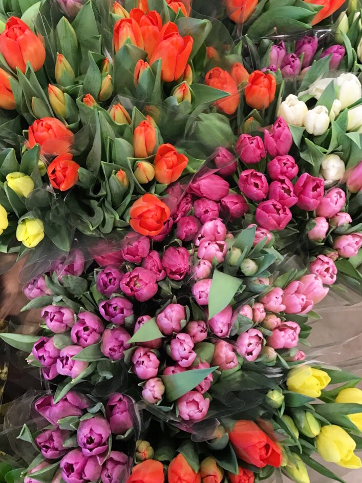 spring, tulips, whole foods, st. louis, flowers