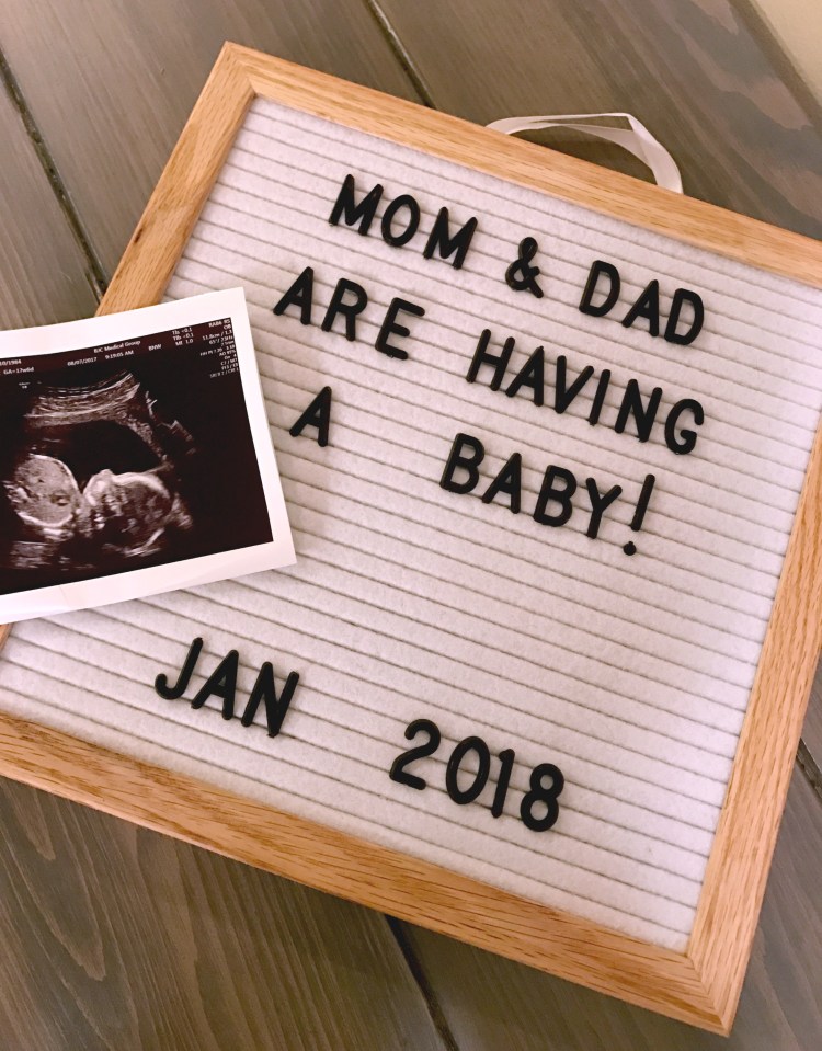 baby announcement, greater swiss mountain dog, swissy, baby, letterboard frame baby announcement, 